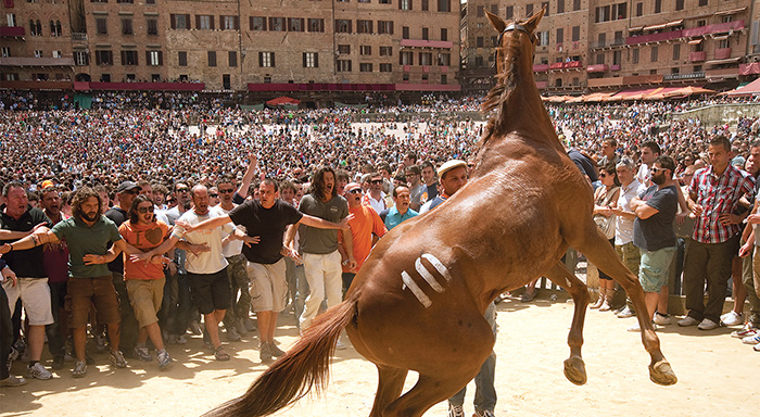 Palio (Cosima Spender, 2015)