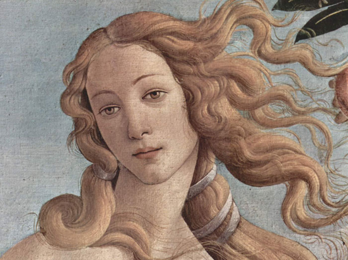 The birth of Venus by Botticelli, Artworks