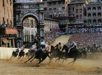 Siena, il Palio