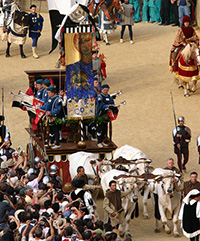 Palio di Siena, Chianina