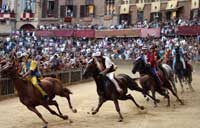 Siena Palio