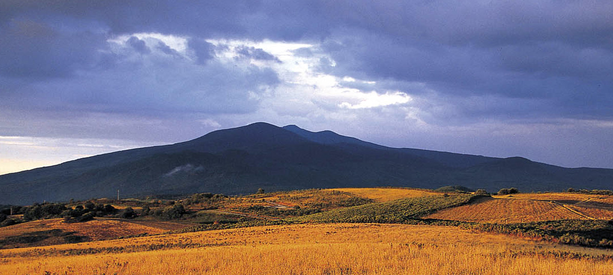 Autumn on Mount Amiata: Montecucco wine, chestnuts, mushrooms and flavors in celebration