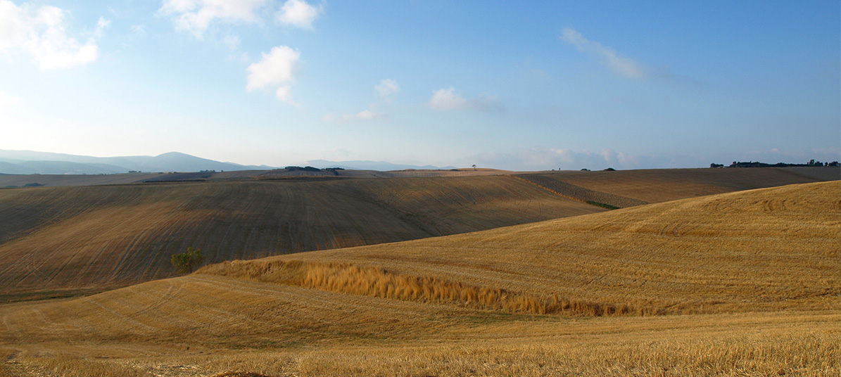 Toscana d'agosto