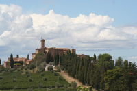 Castello Banfi, Montalcino