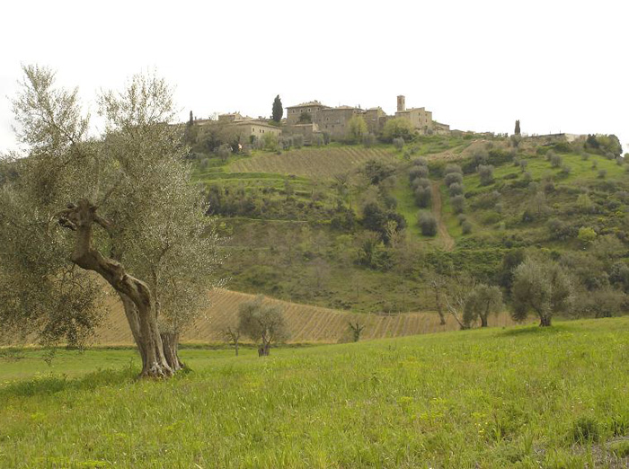 Castelnuovo dell Abbate, Montalcino
