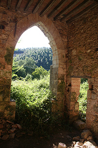 Eremo di Santa Lucia (Rosia), interno