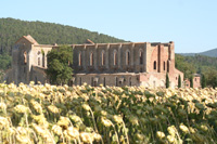 Abbazia di San Galgano