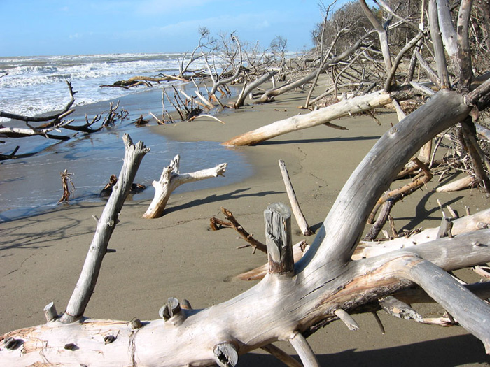 Het unieke strand in het Parco Naturale della Maremma


