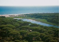 Migliori Spiagge in Toscana