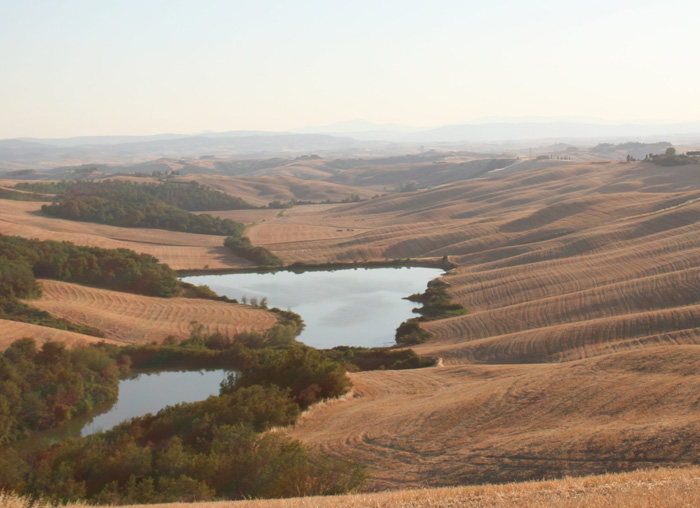 Terre di Siena, August 