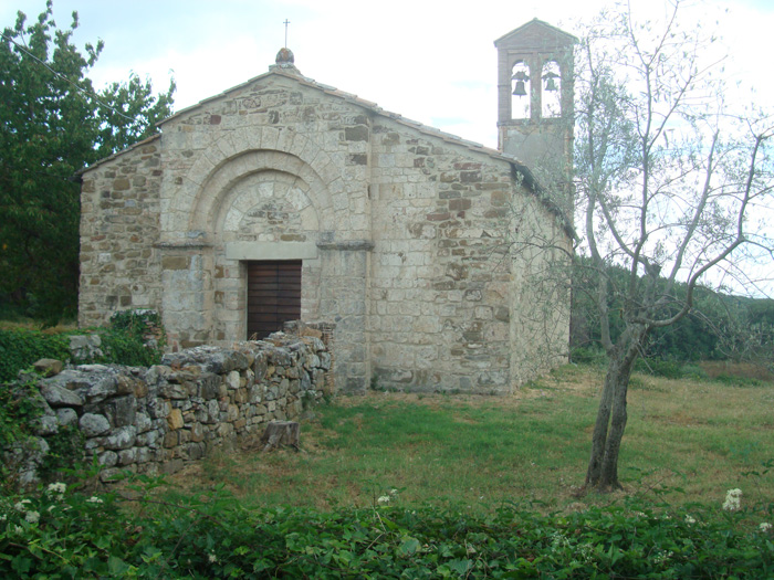 Brunello di Montalcino vines.jpg