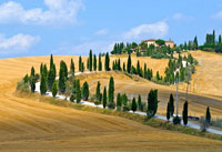 I cipressi e Villa La Foce