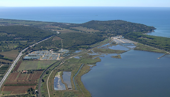 Fish production in Orbetello, fish farms 'Il Vigneto', 'La Cosa' and 'Ittima' in the background