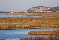 Castiglione della Pescaia 