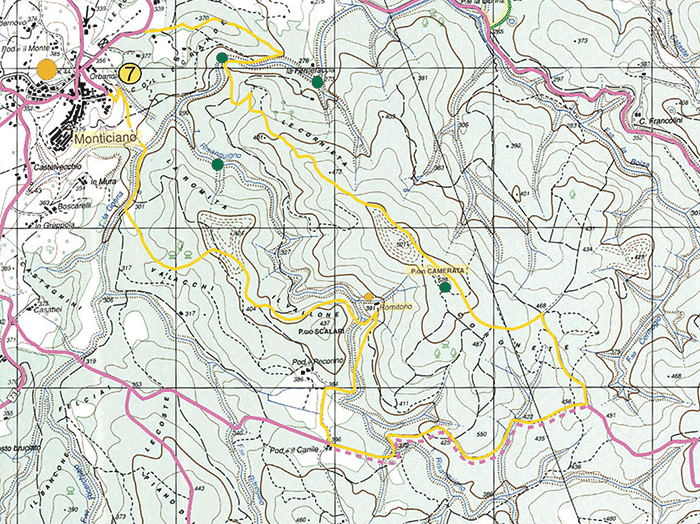 Monticiano-Camerata map